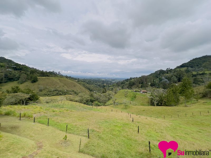 Finca Foto 1
