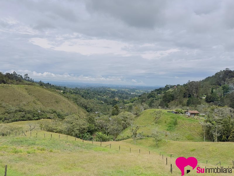 Finca Foto 1